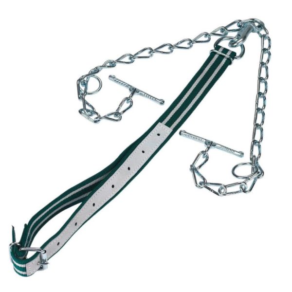 Naveze in verige za živali