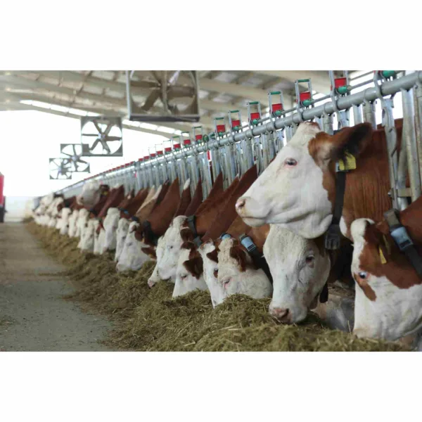 Oprema za hlev Kurtsan