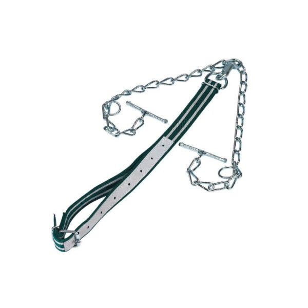 Naveze, verige in uzde za govedo