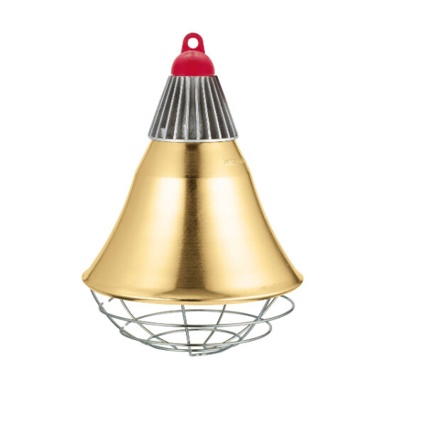 Grelne plošče in žarnice