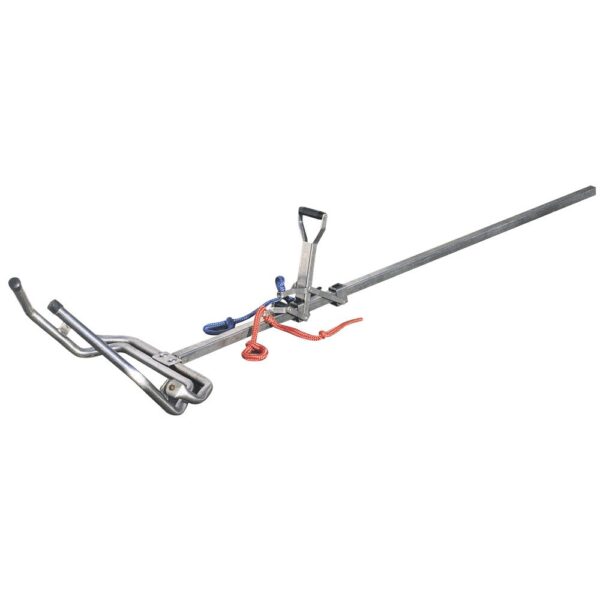 Telitev in vzreja telet